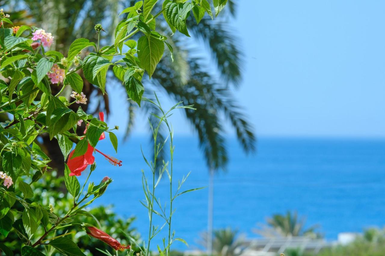 Beautiful Torreoceano 92, Pool, Beach Access La Cala De Mijas Exteriör bild
